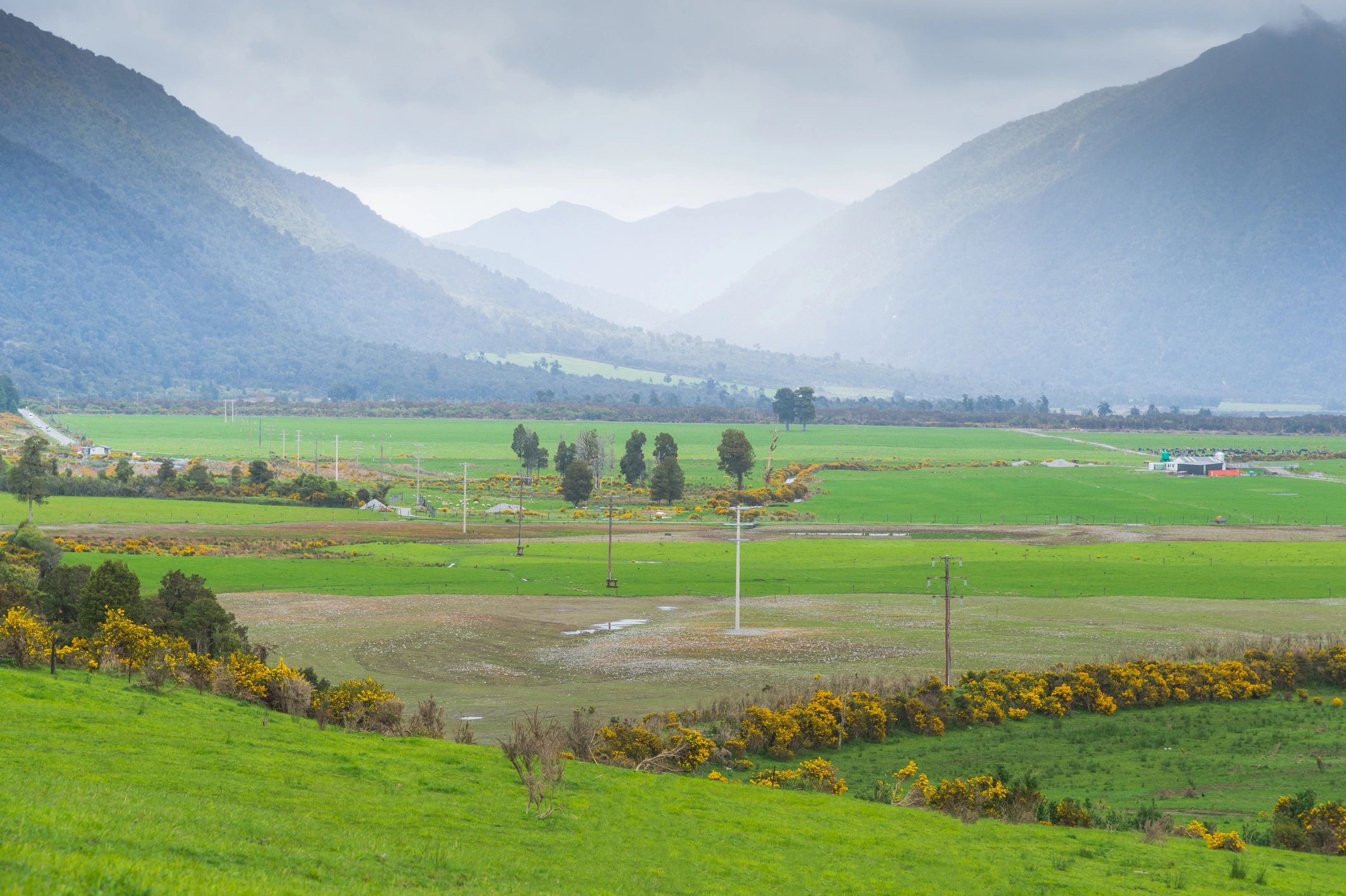 Green ranch landscape with open pasture and mountain sunrise
